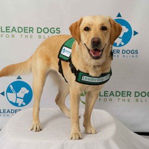 Fundraising Page: Dave Bann